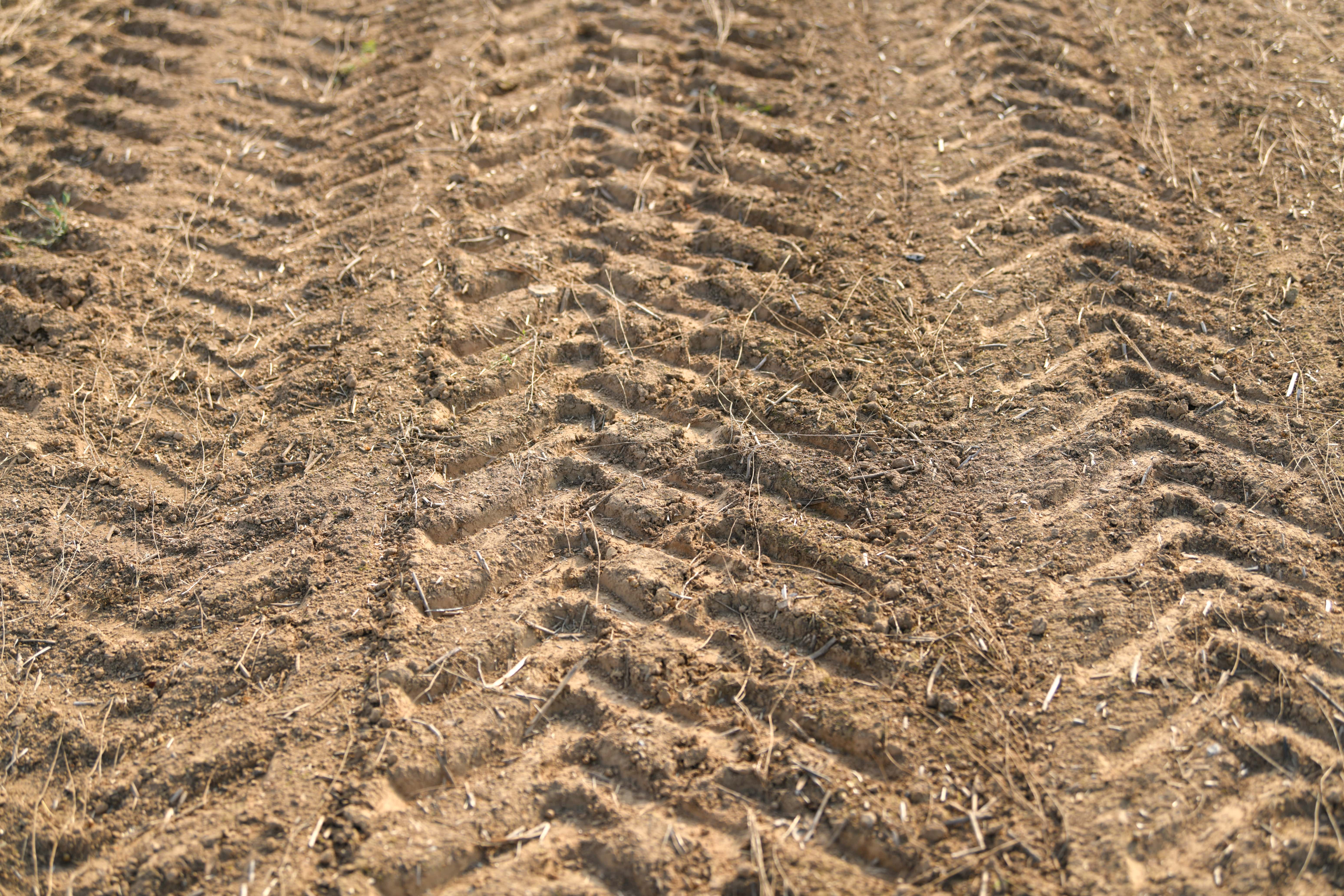 Lug tractor tire tread impressions in the field dirt.