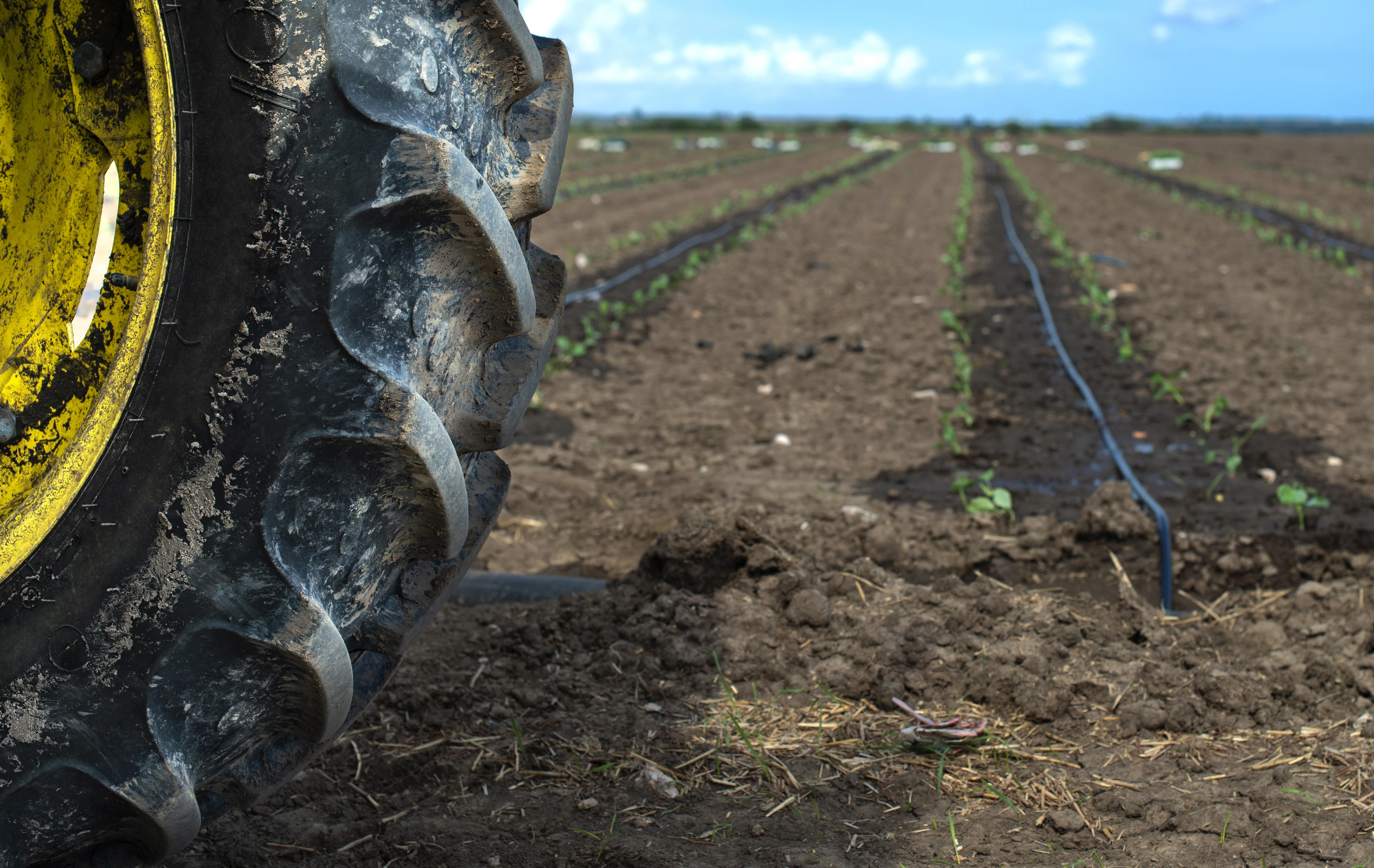 Dirty lug tread tractor tires working in the freshly planted field.